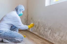 Trusted Burnsville, NC Mold Prevention & Removal  Experts