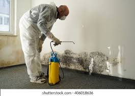 Best Biohazard Mold Removal  in Burnsville, NC